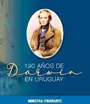 imagen darwin