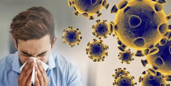 coronavirus