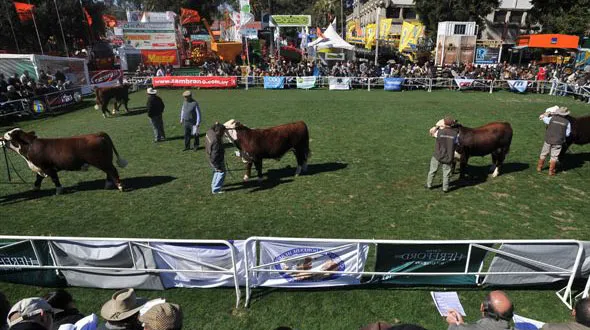 EXPO PRADO
