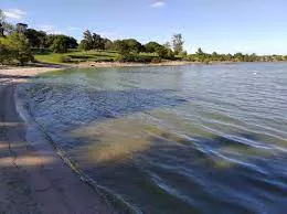 playa palmar floraciones lagales
