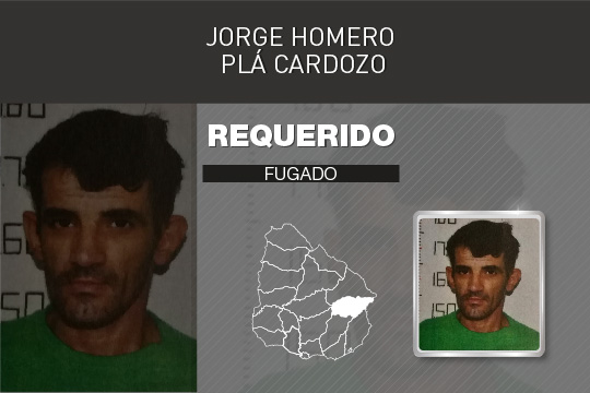 PLACA__Jorge__Pla_Mesa_de_trabajo_1