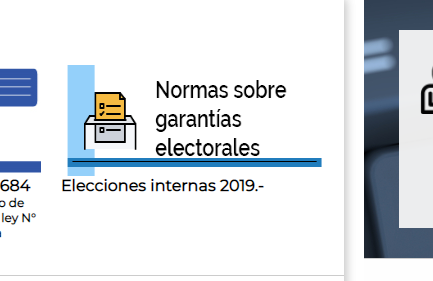 garantias electorales