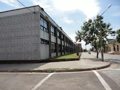 liceo campos
