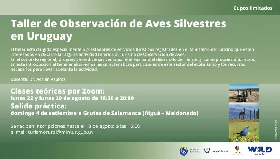 turismo aves silvestre-01