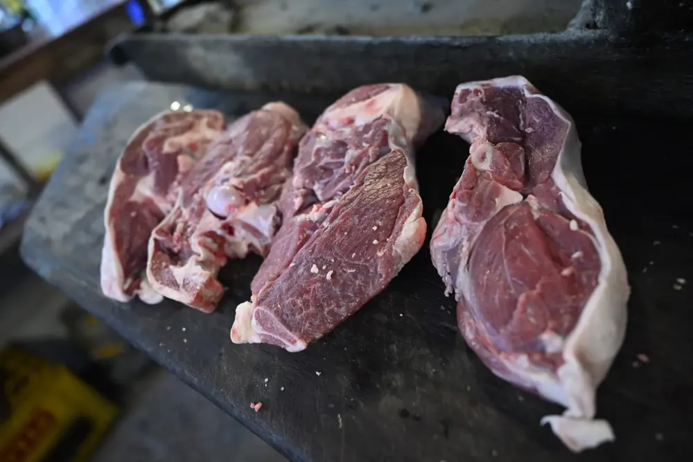 carne asado 32432