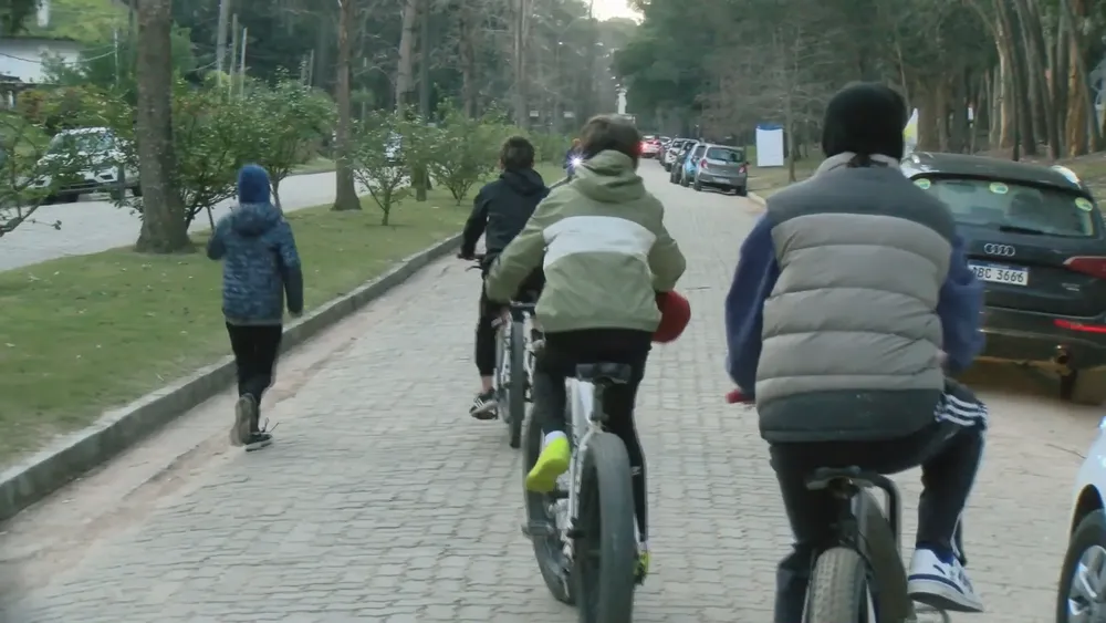 Complejo Solanas 31241