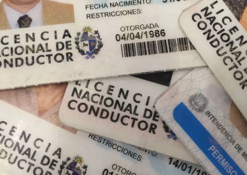 permiso unico conducir