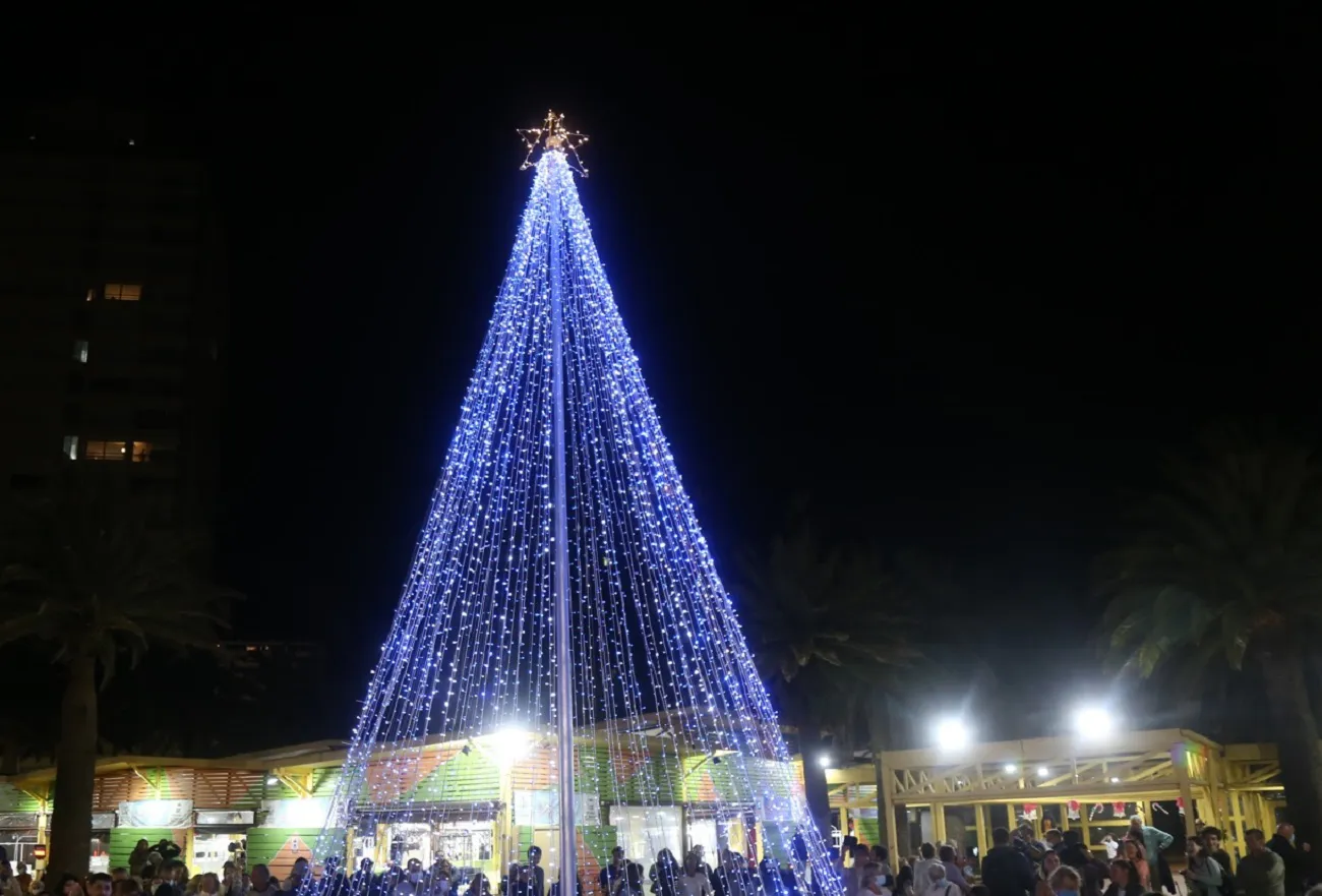 arbol%201