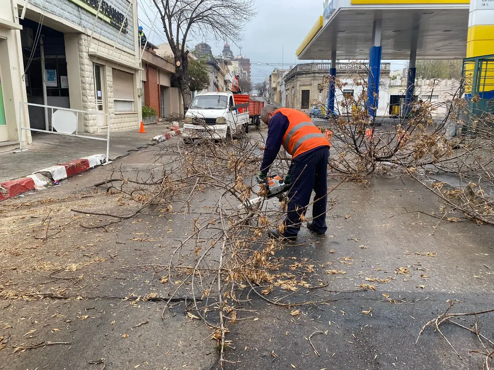 poda invernal en Mercedes - 1 (1)