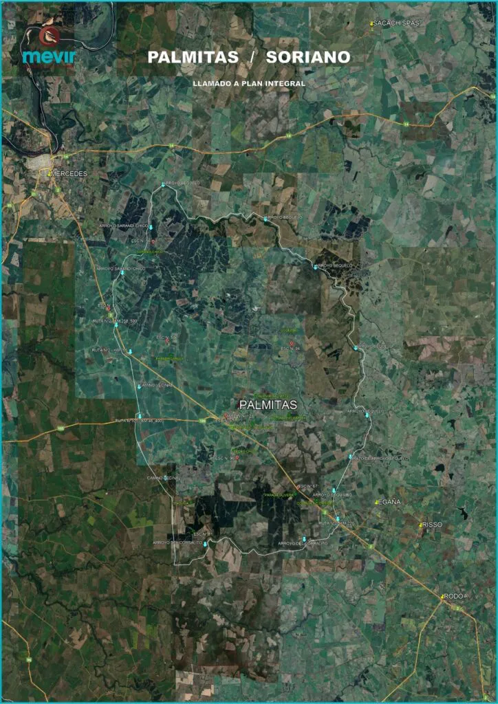 PALMITAS LLAMADO DE MEVIR