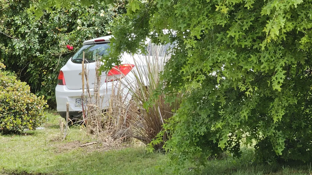 rff s homicidio brio solis 121356