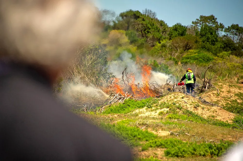 prevencion incendios forestales