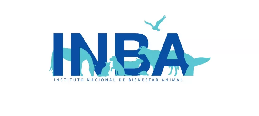 INBA