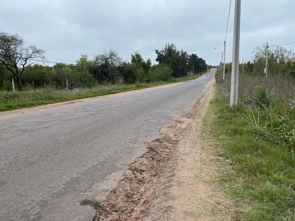 Obras - limpieza cunetas Cno. Elías Regules_