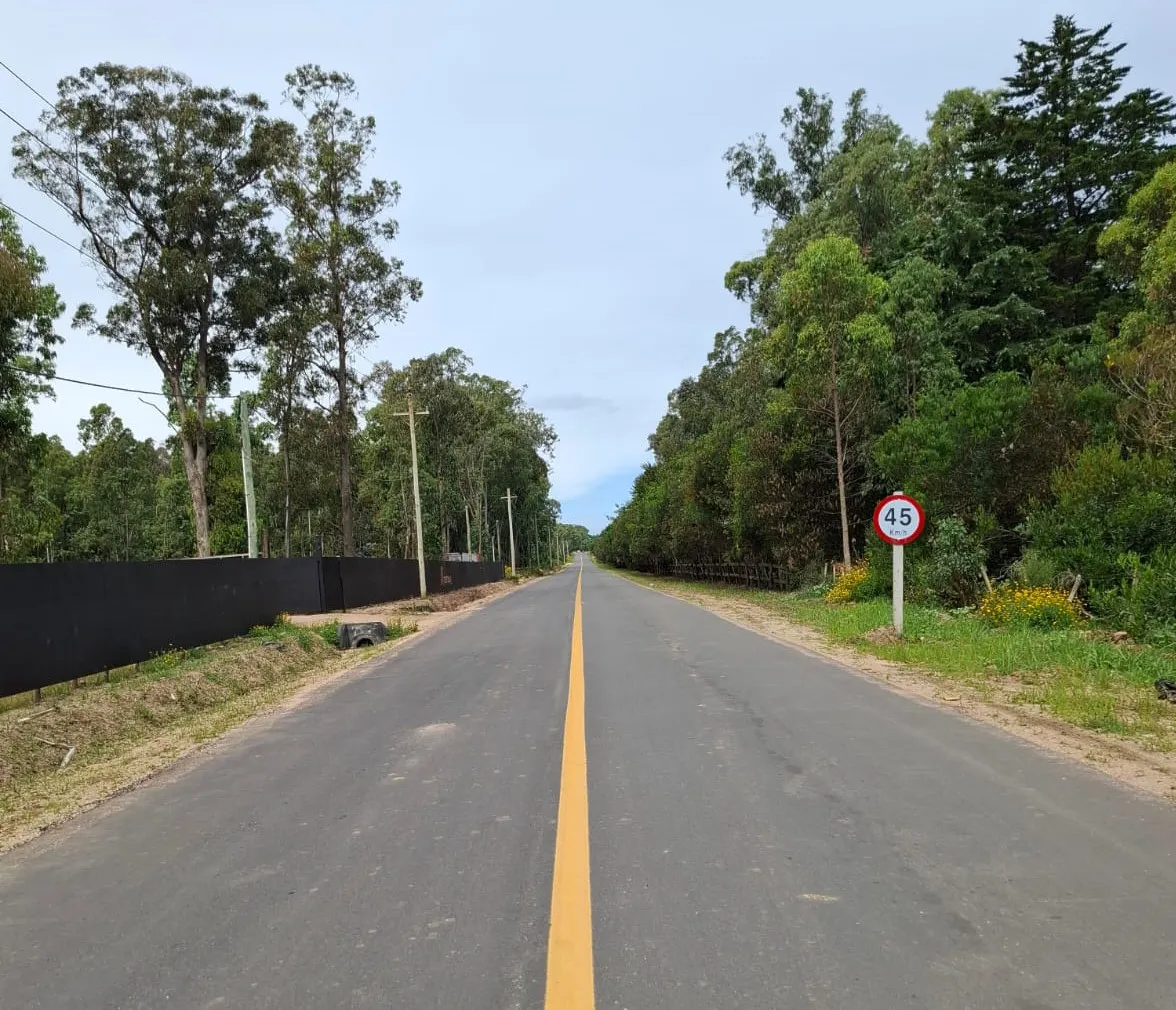 obra camino