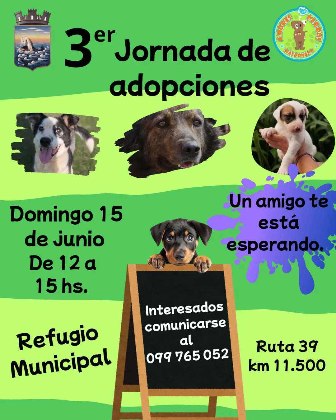 ec5c293b-889b-4481-9795-928371a2a09d