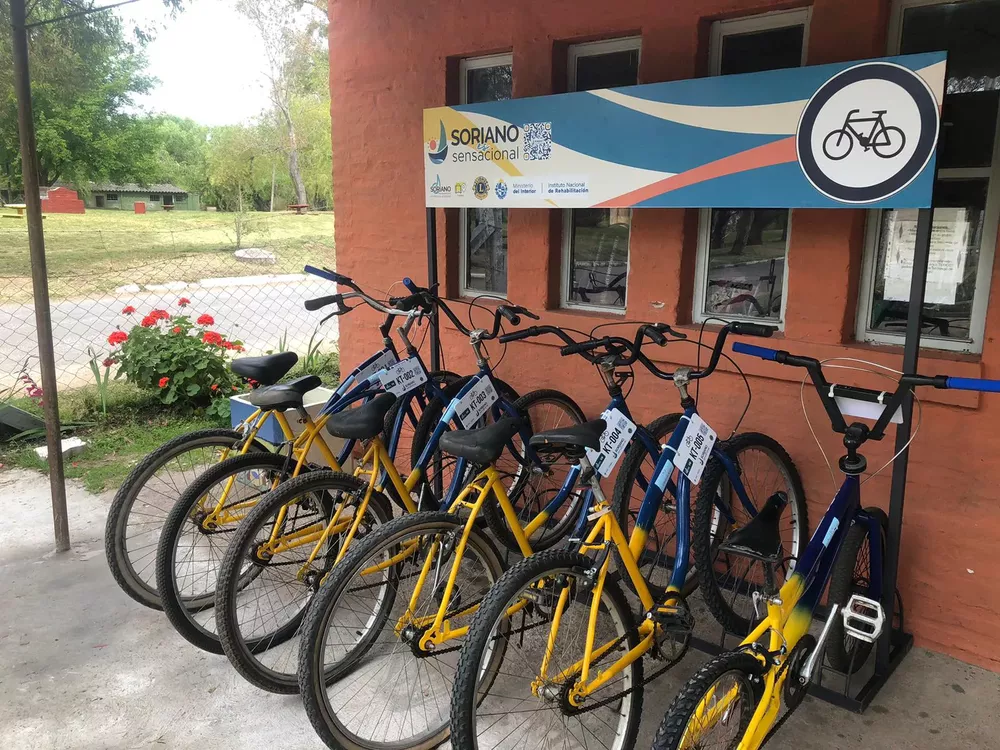 bicicletas para paseos turísticos