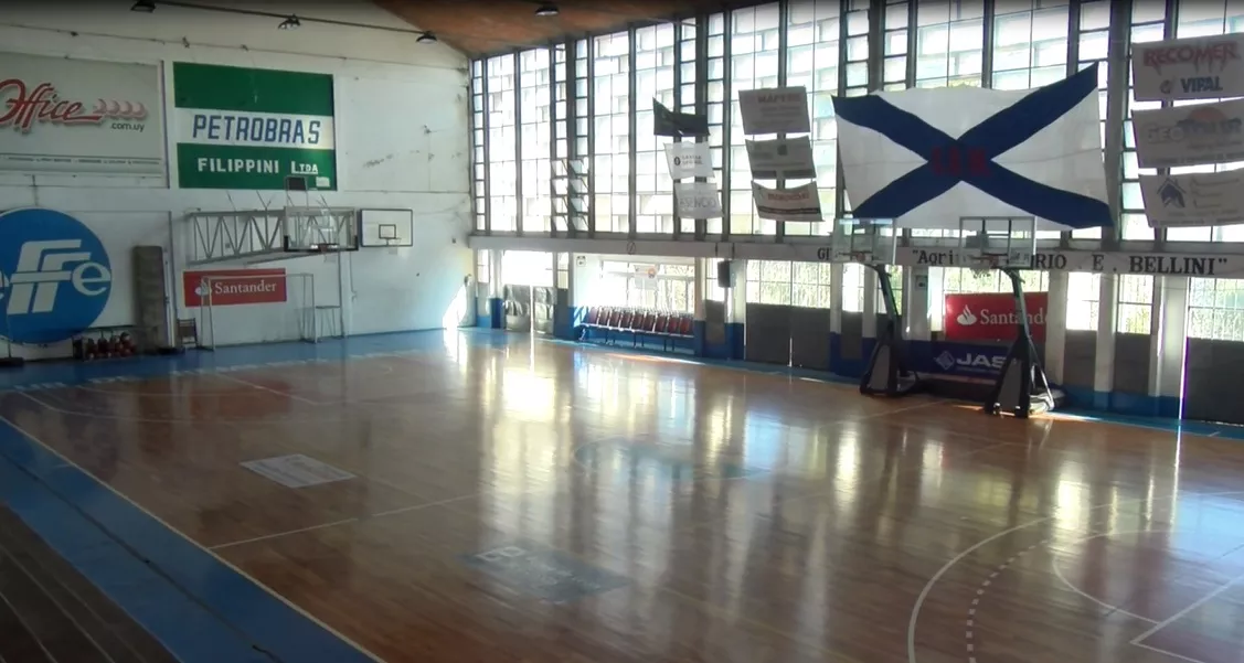 Gimnasio Belllini Remeros 3241234