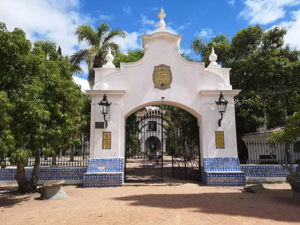 WhatsApp-Image-2021-06-24-at-11.59.11