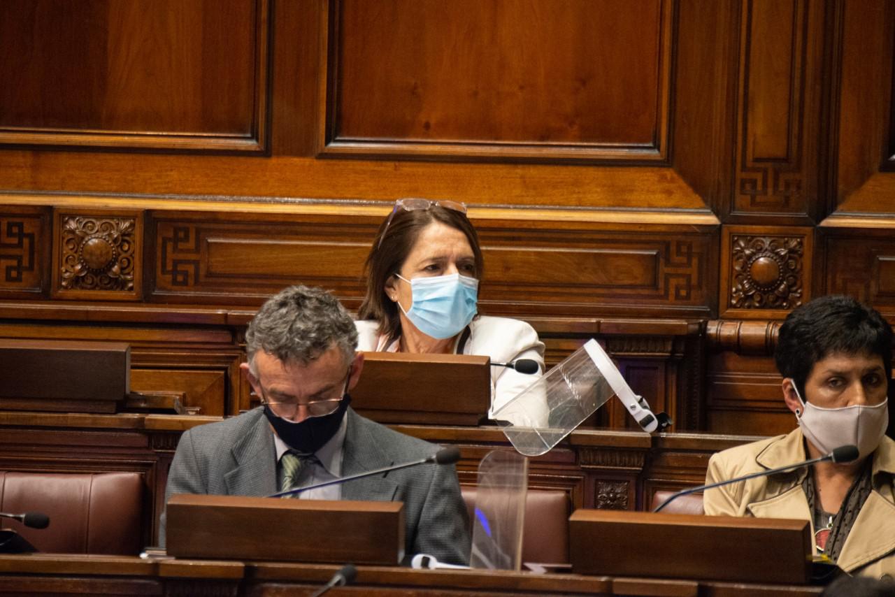 Diputada María Fajardo (2)