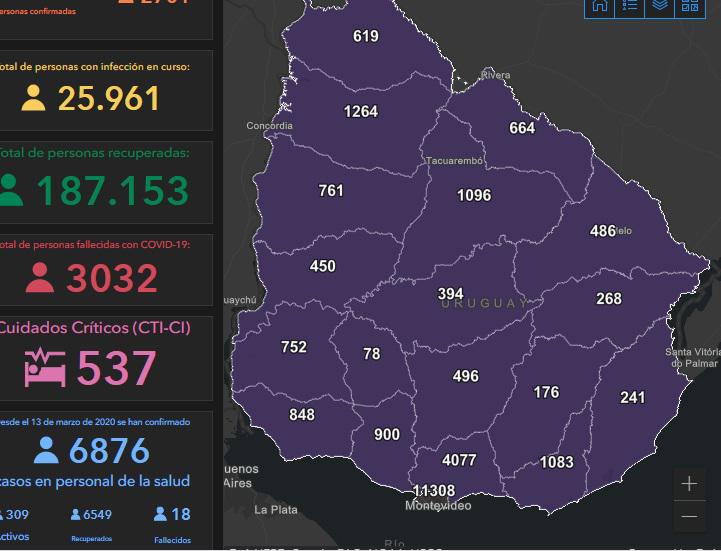 43132314