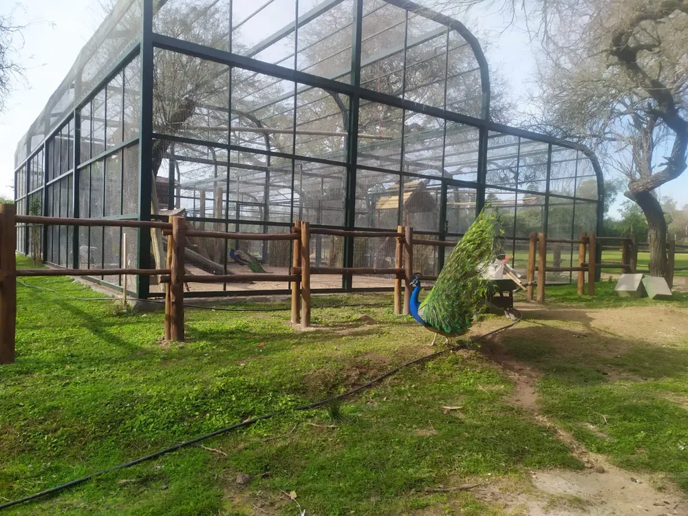 Obras en Zoo