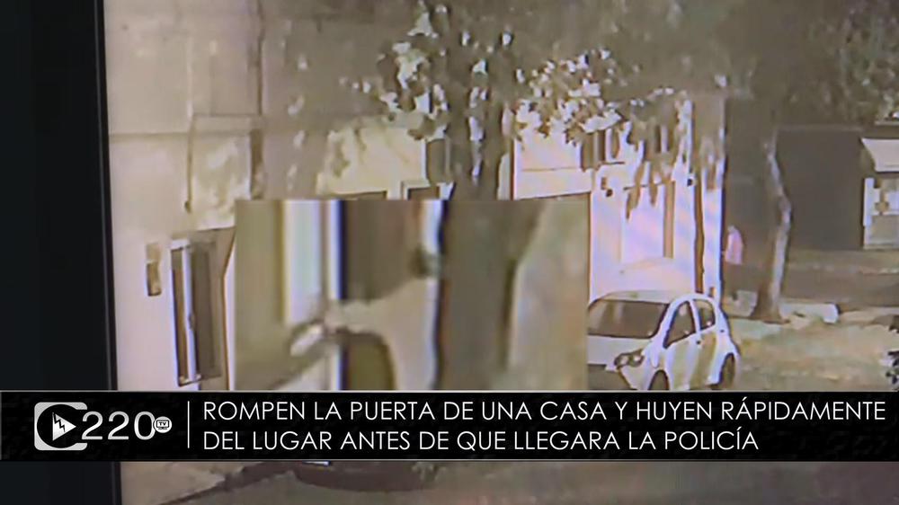 Imagen1