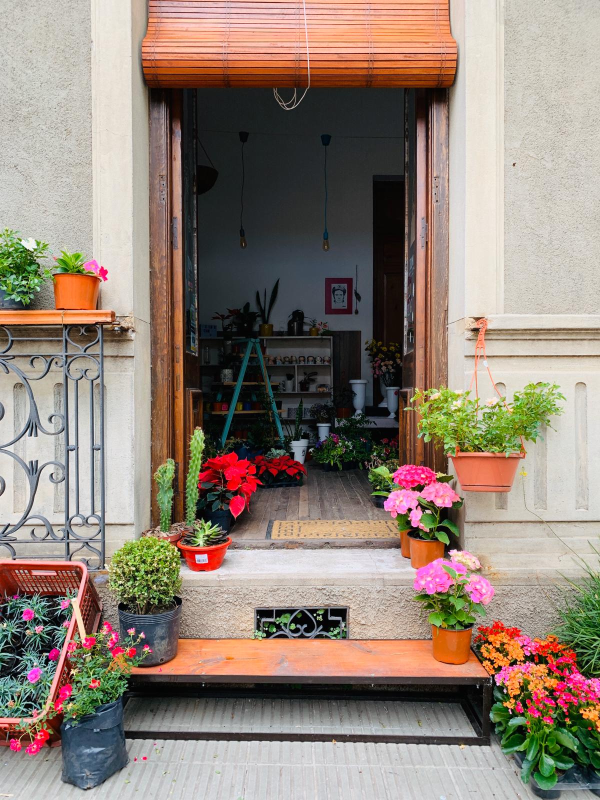 54c73381-e561-423f-a05f-b8d6848e4a3c