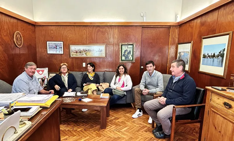 Besozzi con repr. COVIDOL