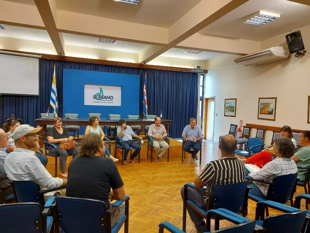 bezozzi por escuela 100