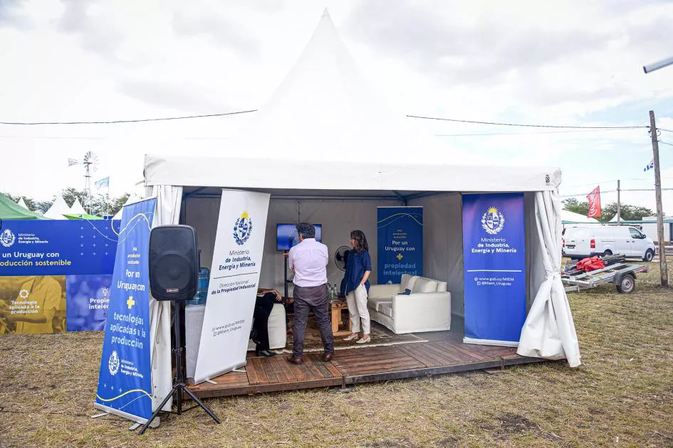 miem EN EXPOACATIVA