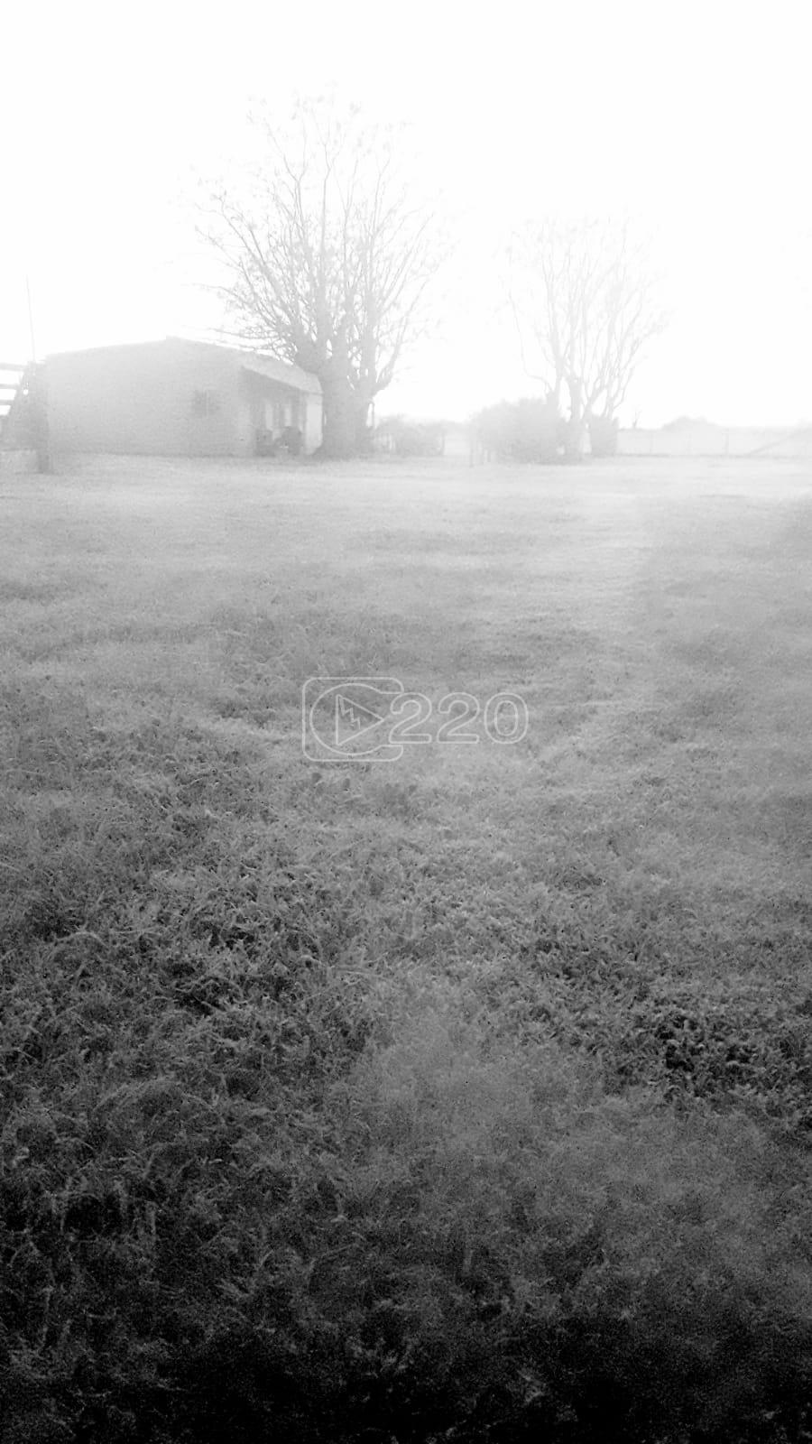 frio polar- helada en Mercedes (9)