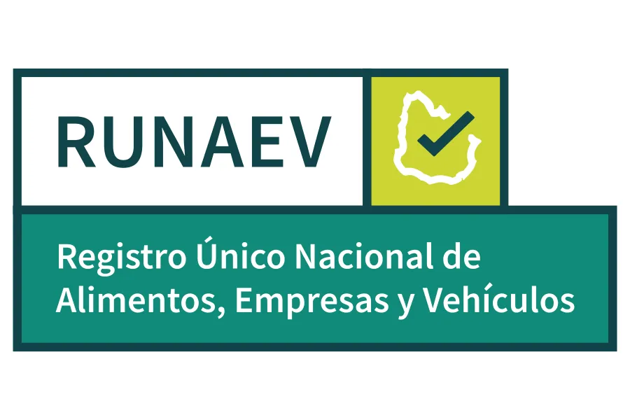 Logo runaev 900x600_3