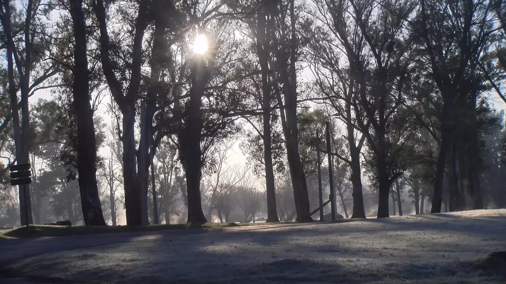 Carrasquito frio y viento