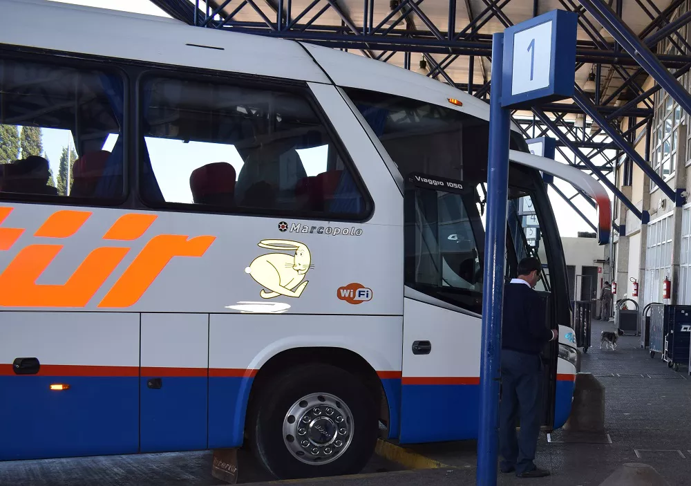 intertur 3242134