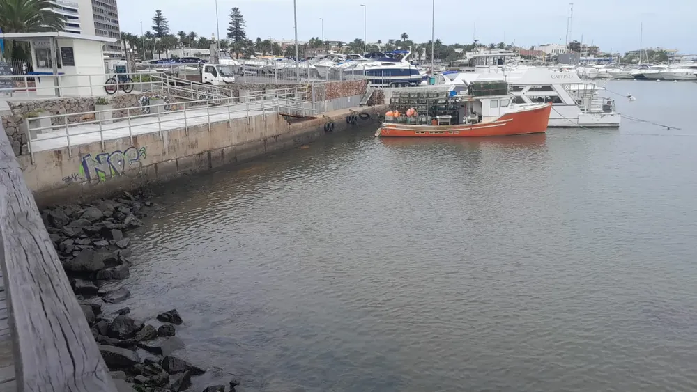 WhatsApp Image 2025-04-07 at 11.02.41