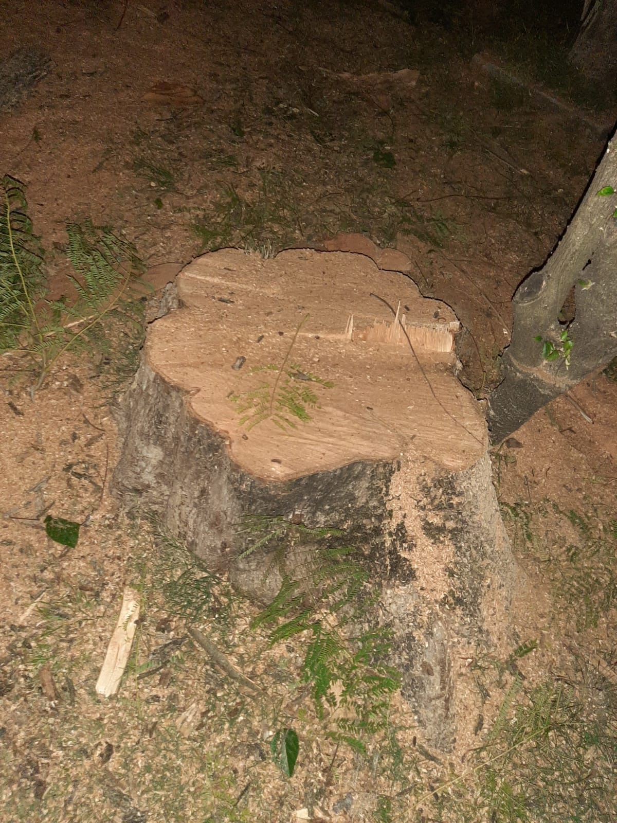 7097f568-9ff7-417a-8c64-0da9d33f1dbd