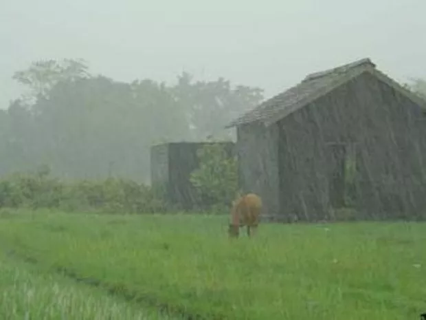 Lluvias