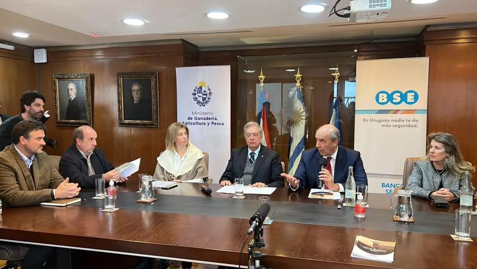 BSE MGAP seguro ór ataques majadas