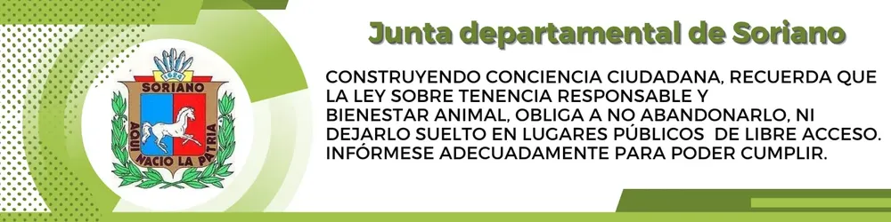 banner Junta Soriano 2341234