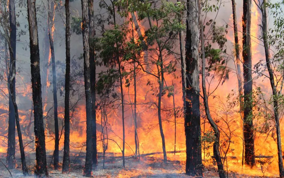 img-incendios