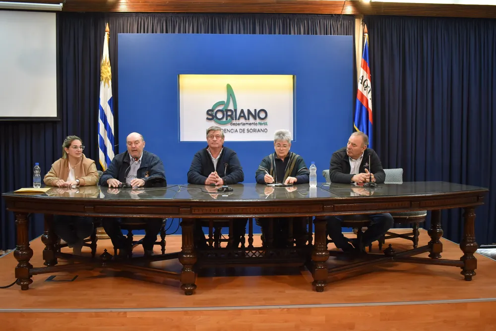 lanzamiento carreras del TCR - 1