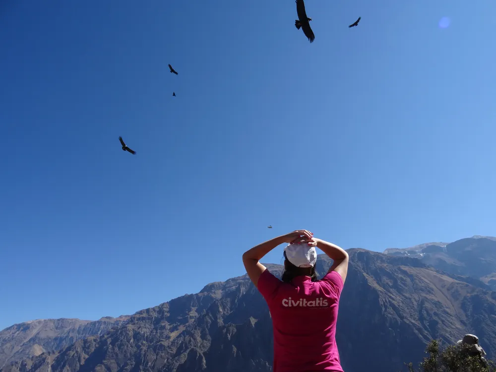 Cañondelcolca3