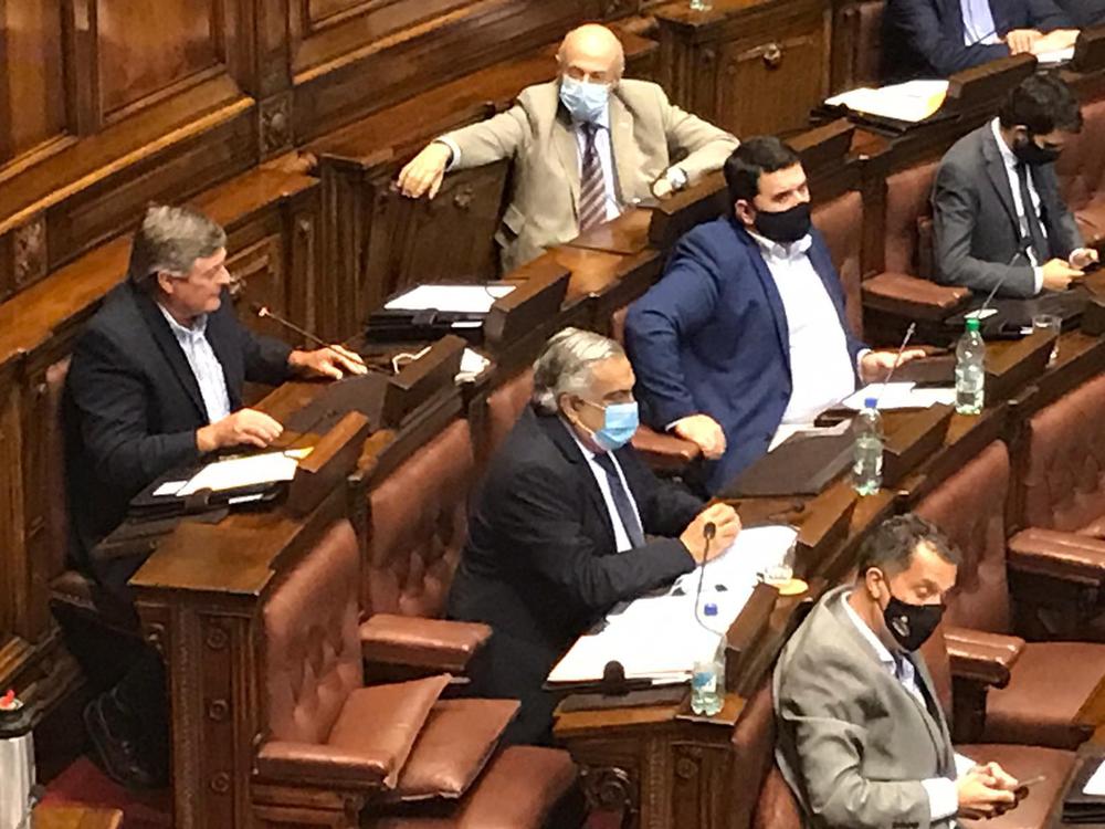 Ultima sesión de Cámara de Guillermo 2 18-11-2020