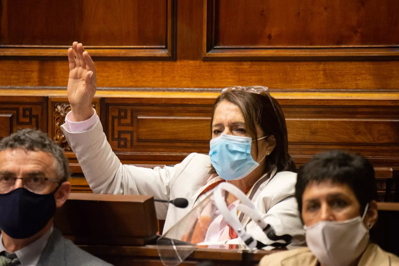Diputada María Fajardo (3)