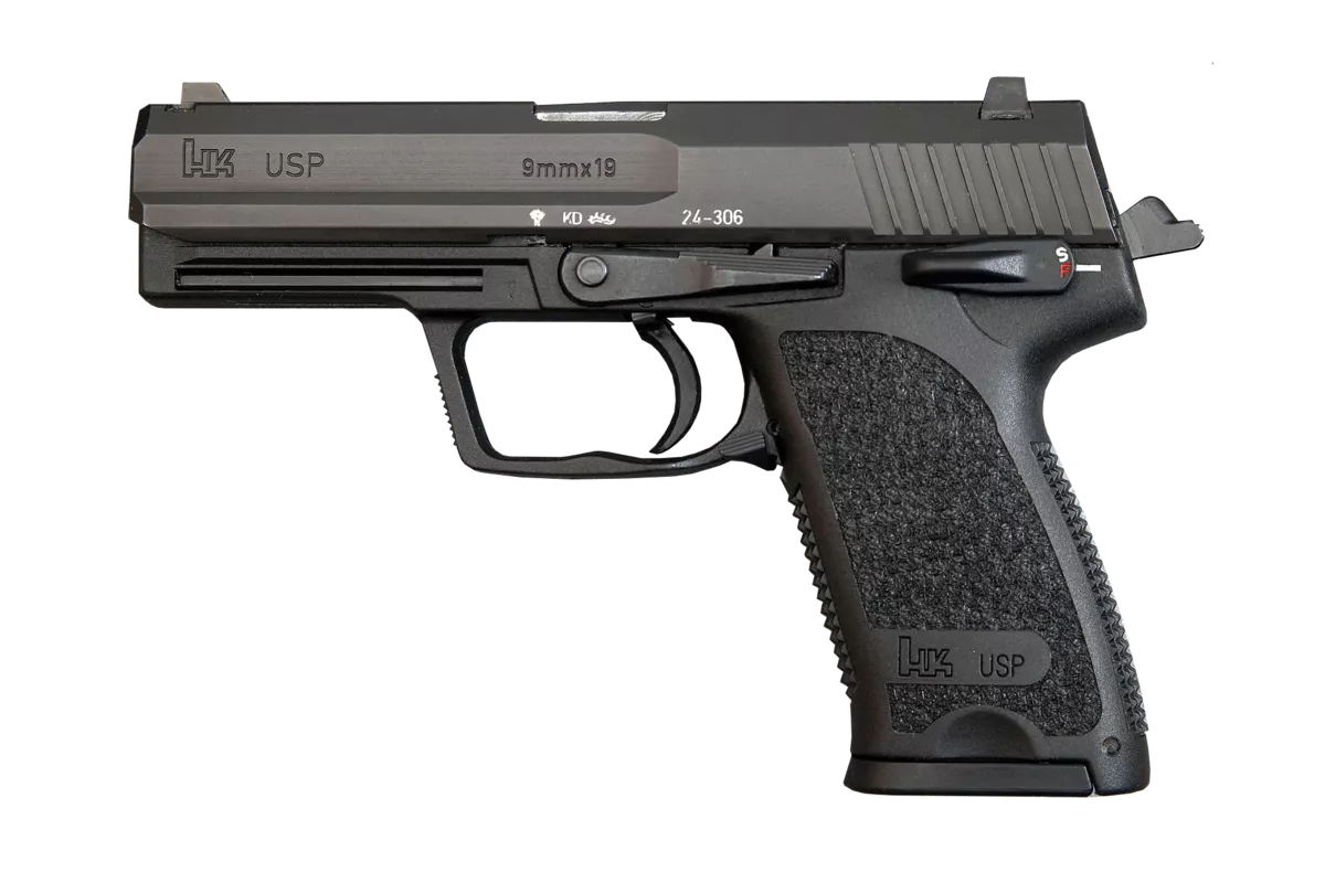 registro nacionañl de armas