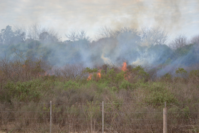 incendio33
