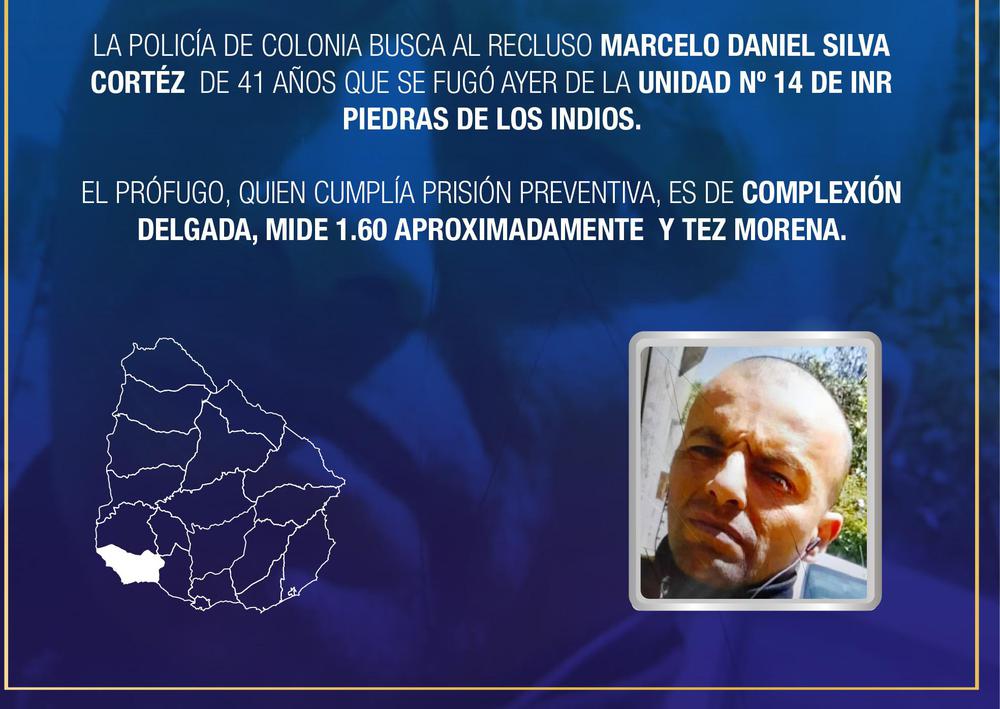 placarequerido