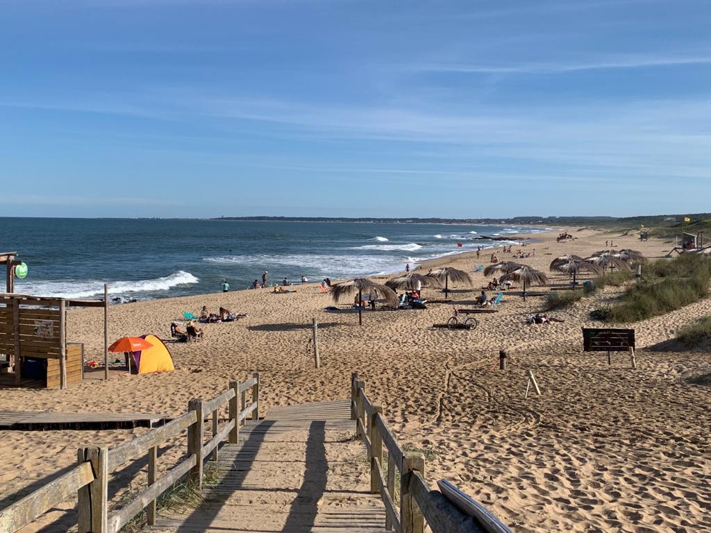 Rocha playas 31241234