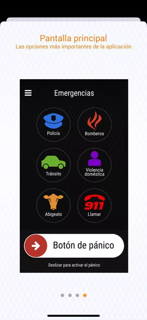 aplicacion policia